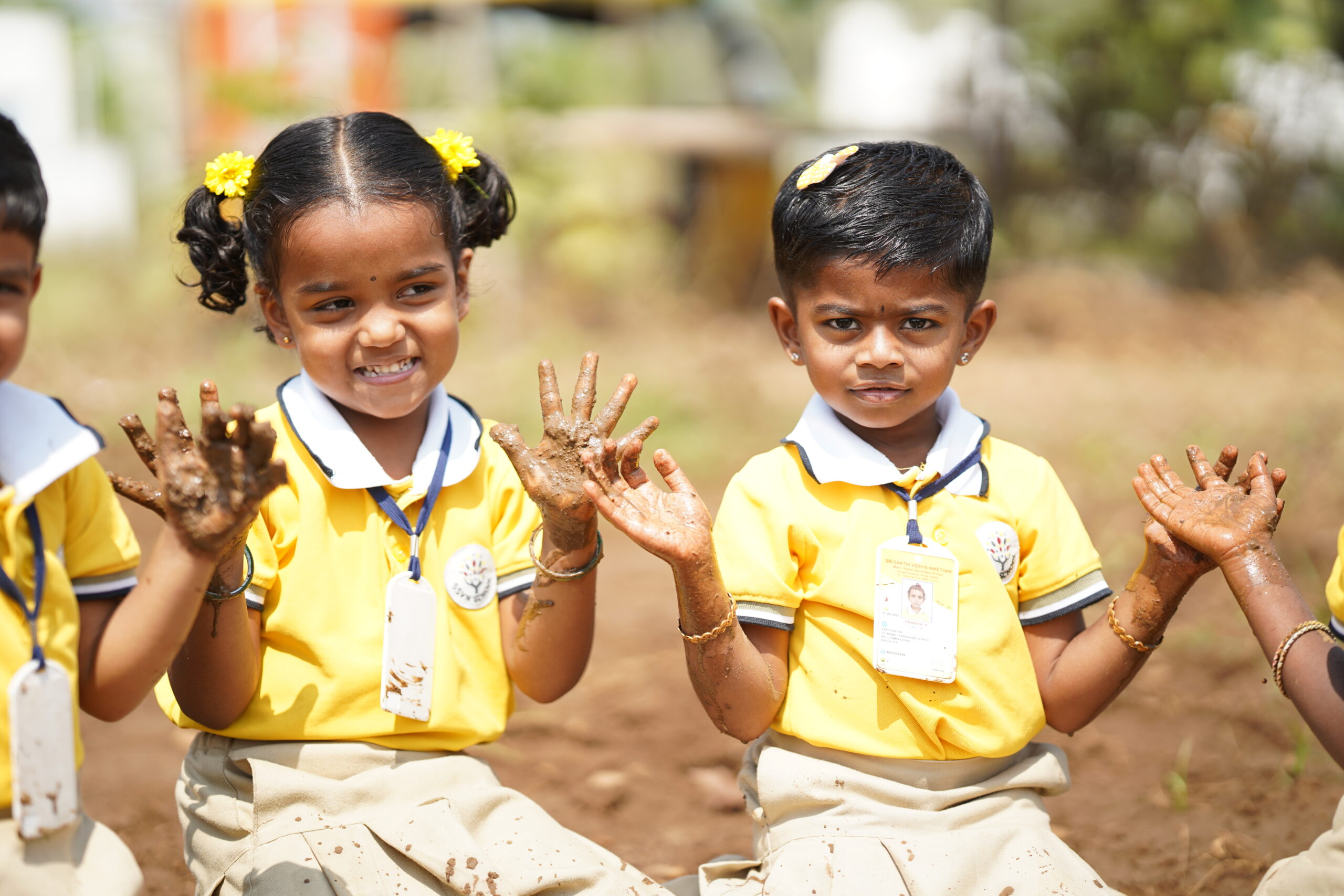 SSVN School